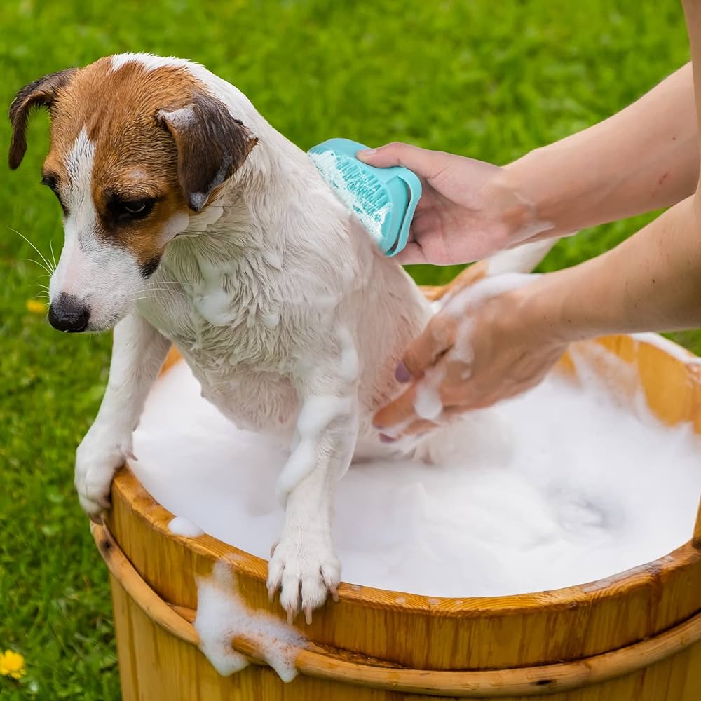 brosse-de-bain-pour-chien-bain