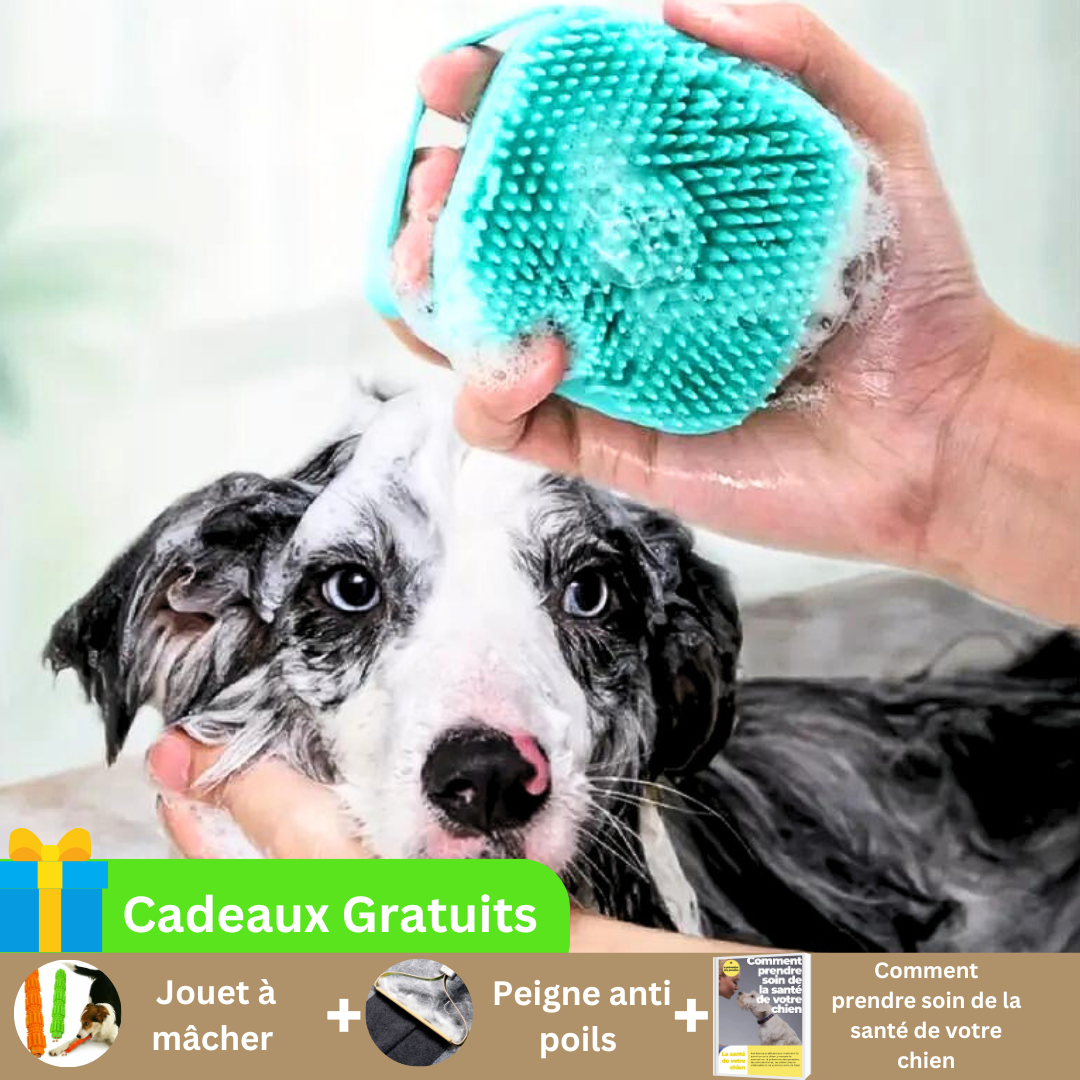 brosse-de-bain-pour-chien-bleu