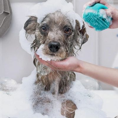 brosse-de-bain-pour-chien-broue