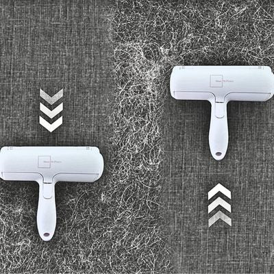 brosse-pour-chien-direction