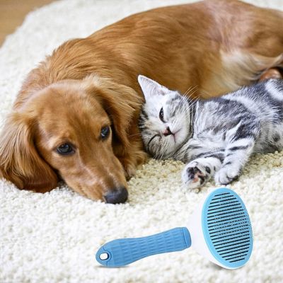 brosse-pour-chien-douce