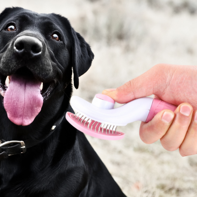 brosse-pour-chien-rose