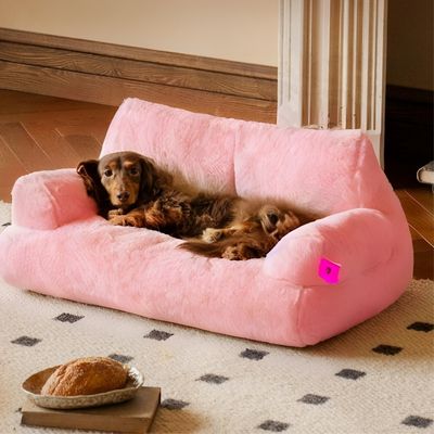 canape-chien-doux