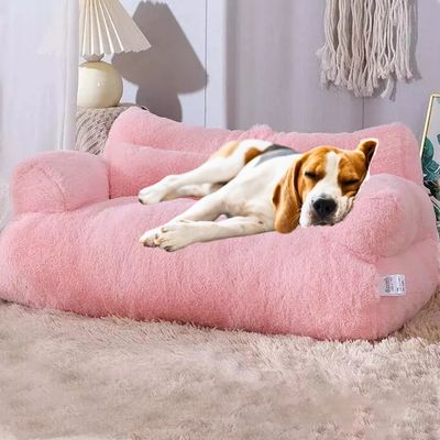 canape-chien-sommeil