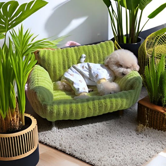 CANAPÉ POUR CHIEN | Douillet - Wouf chien