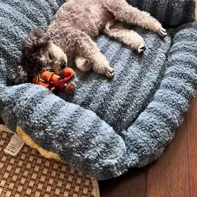 canape-pour-chien-moelleux