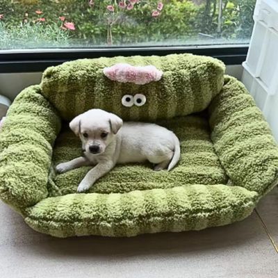 canape-pour-chien-qualite