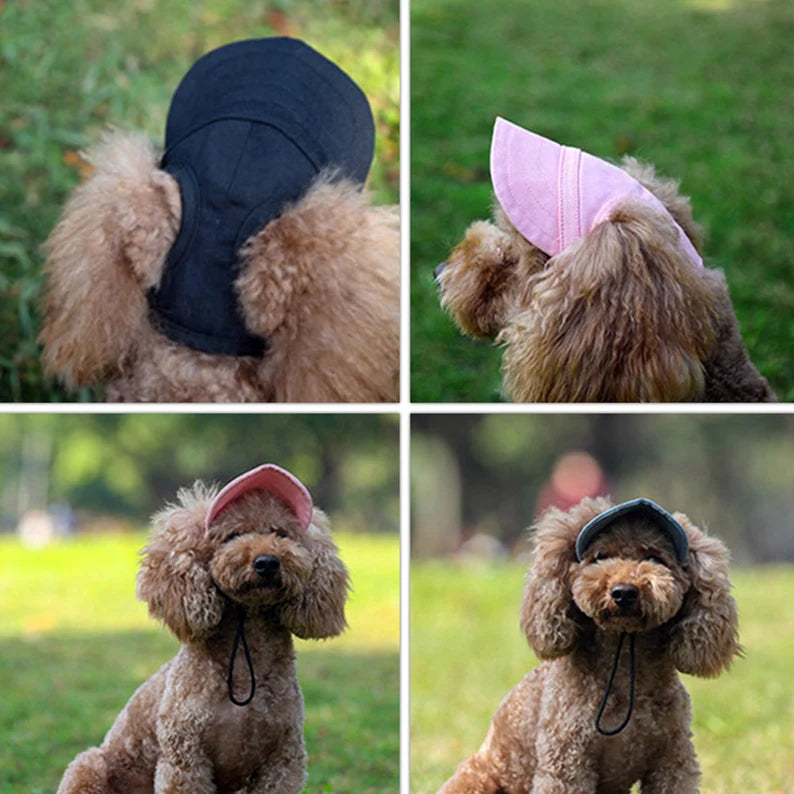 casquette-pour-chien-ajustable