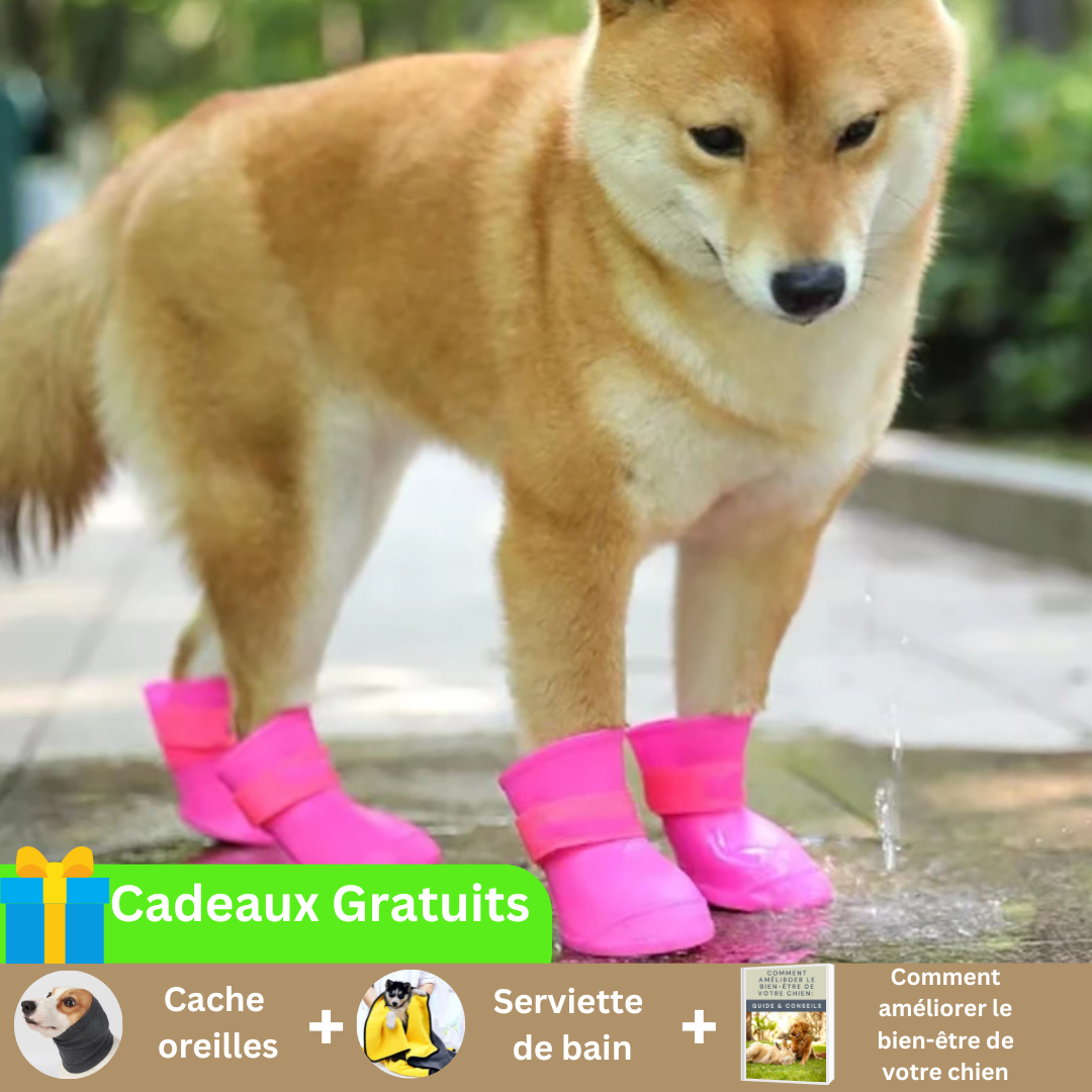 chaussure-pour-chien-rose