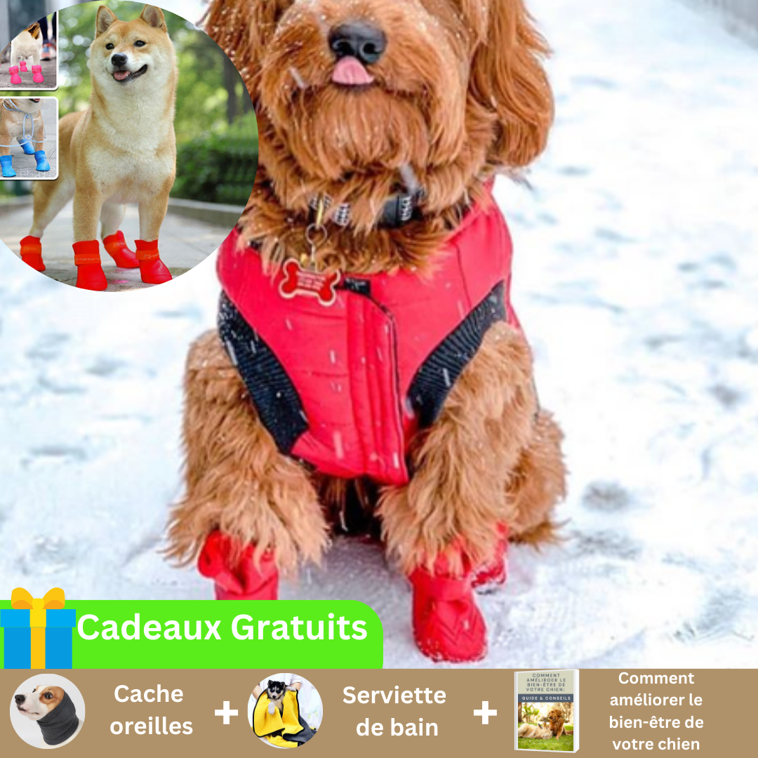 chaussure-pour-chien-rouge