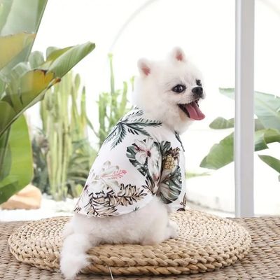 chemise-pour-chien-blanche
