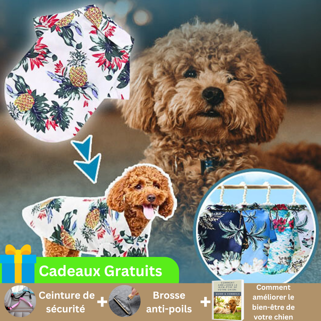 chemise-pour-chien-blanche