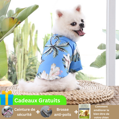 chemise-pour-chien-bleu