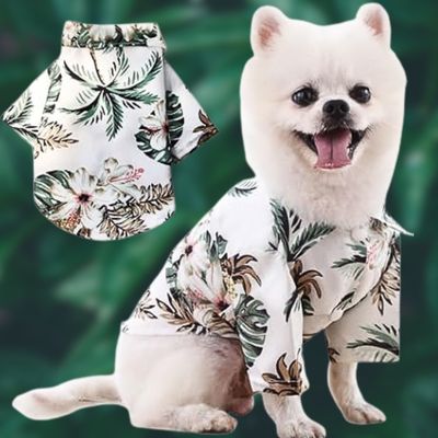 chemise-pour-chien-vert