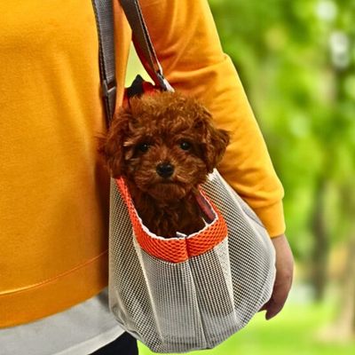 chien-sac-de-transport-1-frais