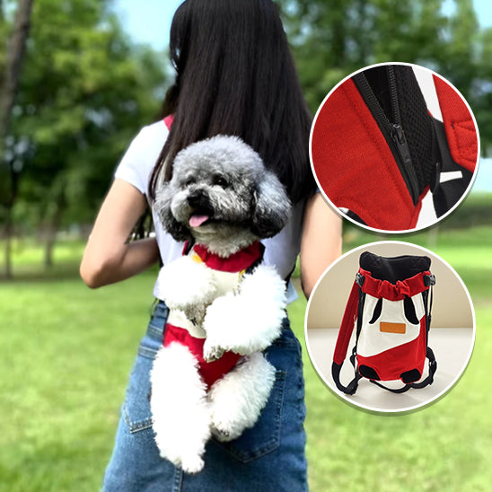 chien-sac-de-transport-rouge