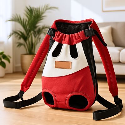 chien-sac-de-transport-salon
