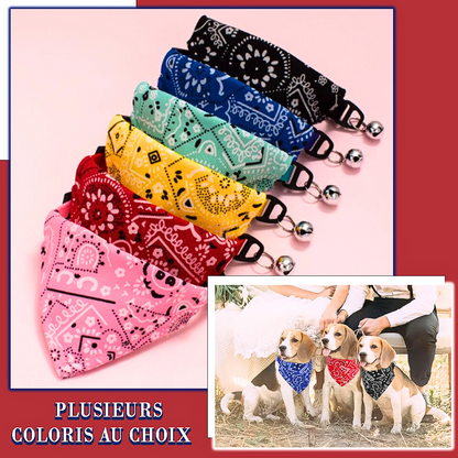 collier-bandana-chien-coloris