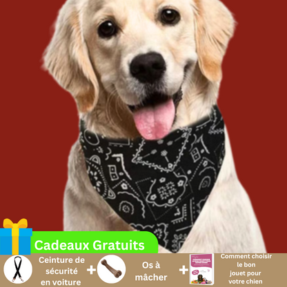 collier-bandana-chien-noir