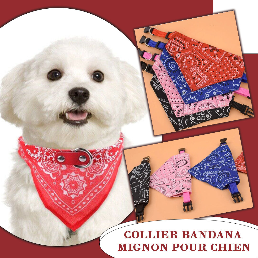 Bandana Chien BRIQUE main image 1