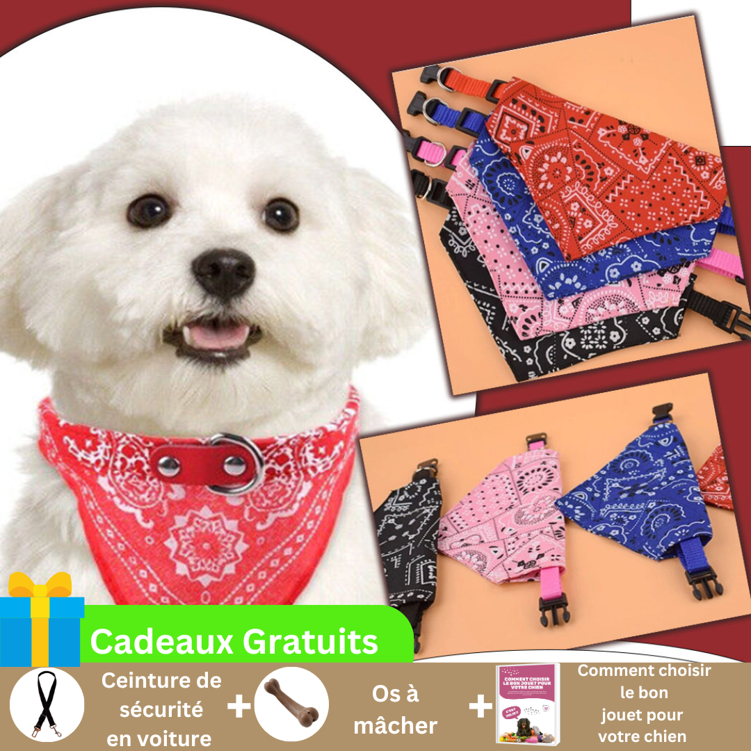 collier-bandana-chien-rouge