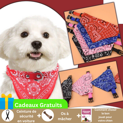 collier-bandana-chien-rouge