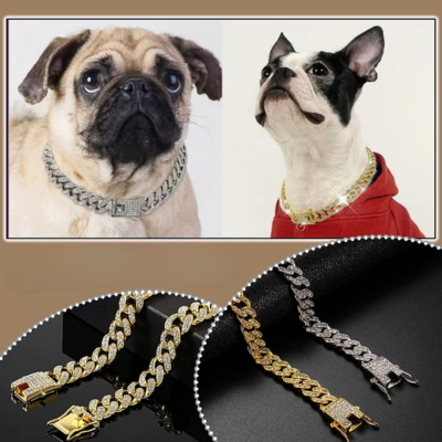 collier-chien-anniversaire