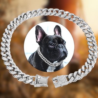 collier-chien-argent