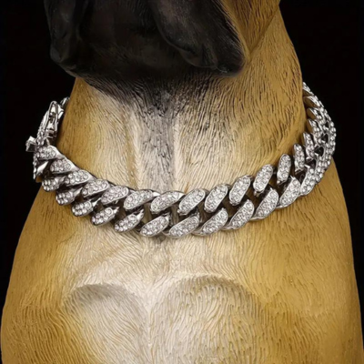 collier-chien-argent