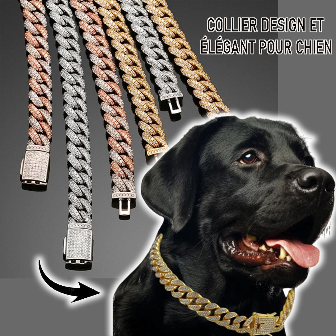 collier-chien-chic