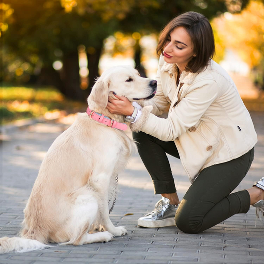 collier-chien-cuir-rose