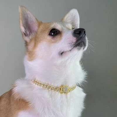 collier-chien-diamant
