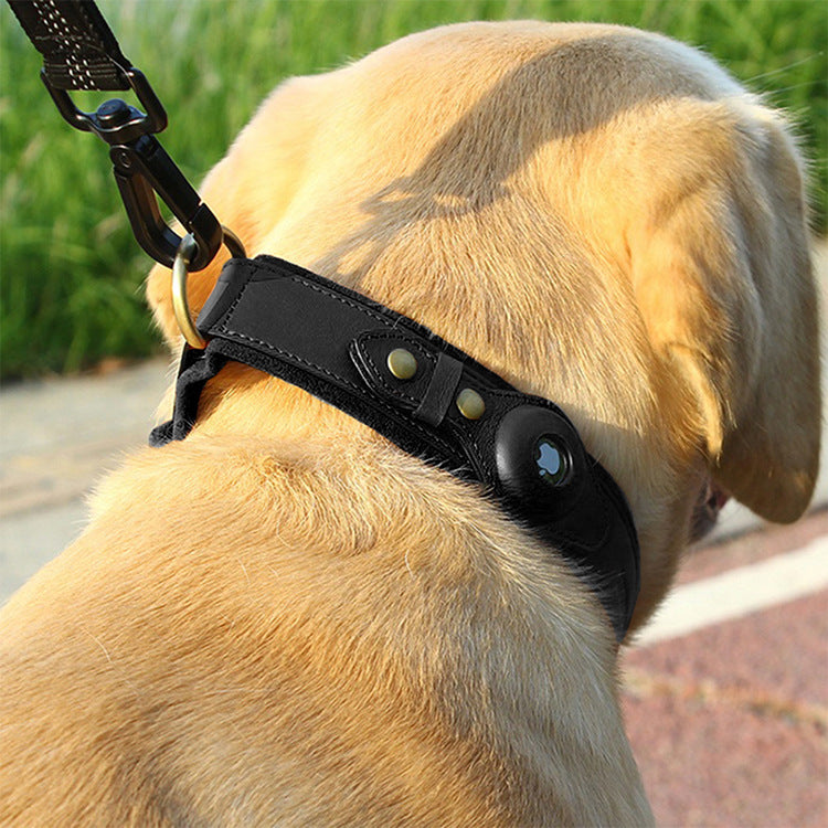 collier-chien-gps-noir