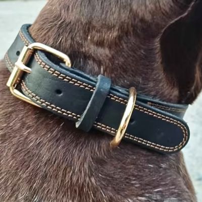 collier-cuir-chien-noir