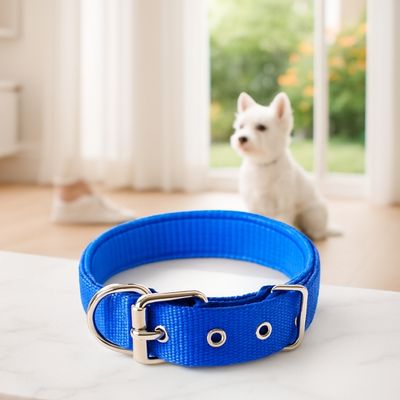 collier-de-dressage-pour-chien-confort
