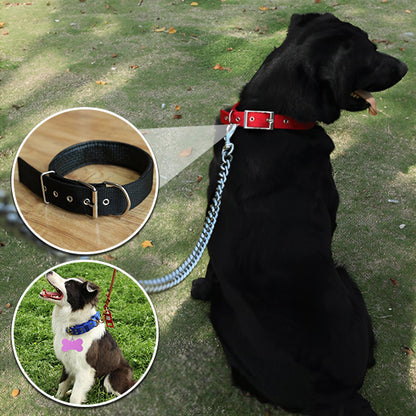 collier-de-dressage-pour-chien-confortable