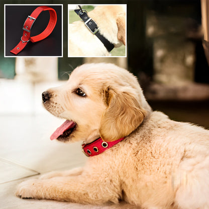 collier-de-dressage-pour-chien-rouge