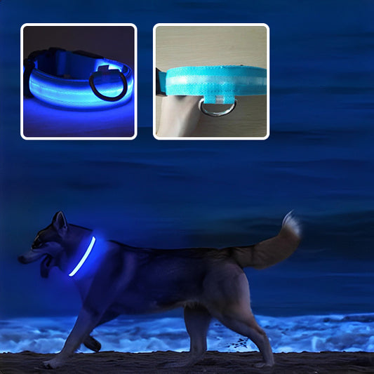 collier-lumineux-chien-bleu