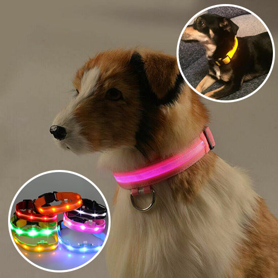 collier-lumineux-chien-rose