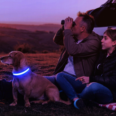 collier-lumineux-chien-securite