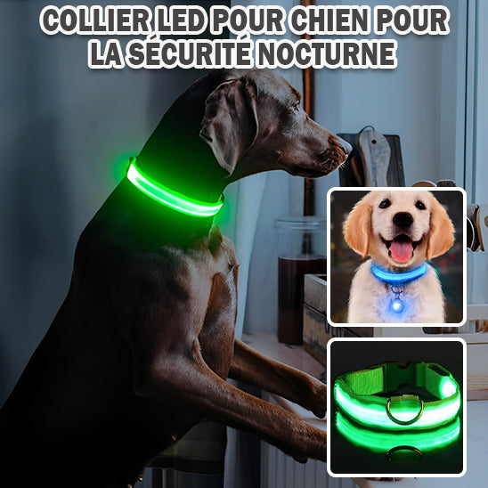 collier-lumineux-chien-vert