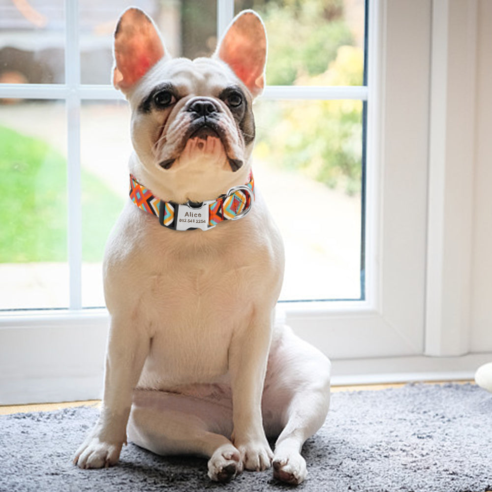 collier-pour-chien-personnalisé-chic