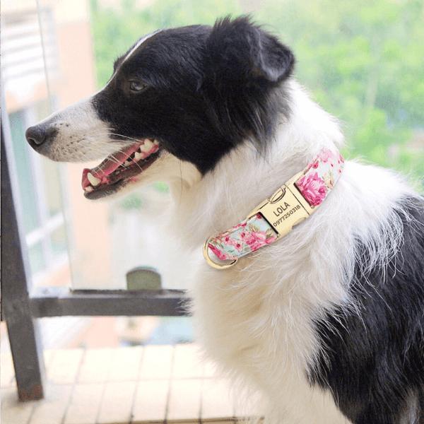 collier-pour-chien-personnalisé-pivoine