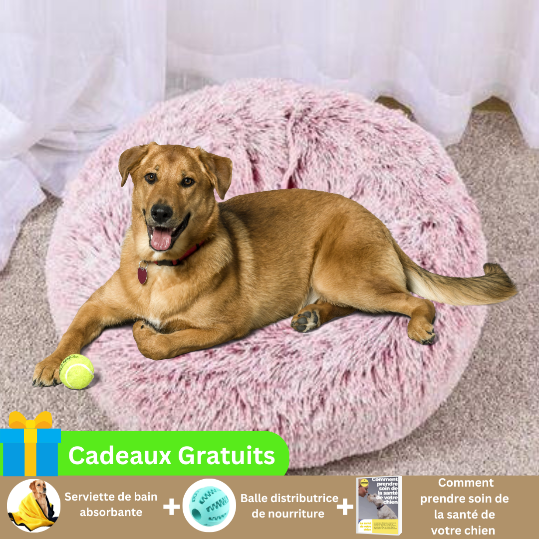 couchage-chien-doux