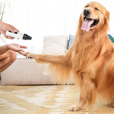 coupe-griffe-chien-doux