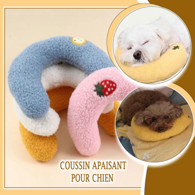 coussin-chien-apaisant