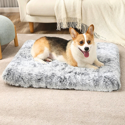 coussin-chien-gris-blanc