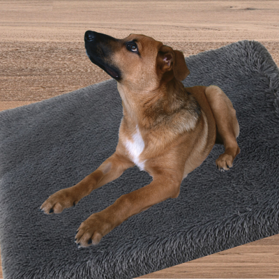 coussin-chien-gris-fonce