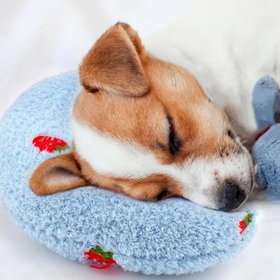 coussin-chien-oreiller