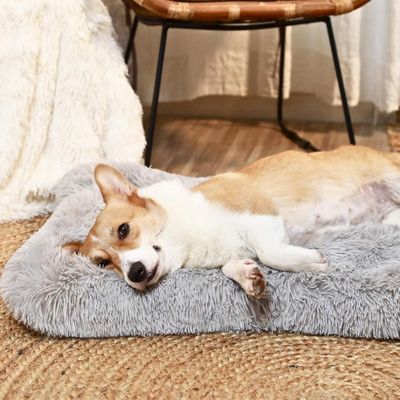 coussin-chien-protection